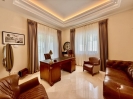 Luxury Mansion Marbella Golden Mile Spain (21) (Grande)