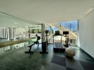 Luxury Mansion Marbella Golden Mile Spain (121) (Grande)