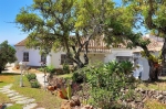 Villa for sale in Marbella East (19)
