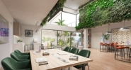 New Modern Development in Casares (12)