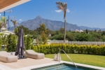 Beautiful Garden Apartment Marbella Golden Mile (69)