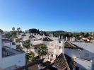 Penthouse Duplex Nueva Andalucia Marbella (7)