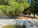 Villa Project Nueva Andalucia (6)