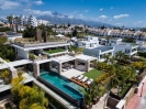 Luxury Modern Villa Nueva Andalucia (2)