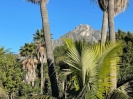 Marbella Golden Mile Villa Investment Project (9)
