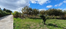Finca Estepona (21)