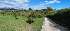 Finca Estepona (22)