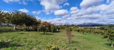 Finca Estepona (24)