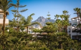 Beautiful Apartment Marbella Golden Mile Spain (34)