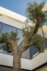 Ultra Modern Semi Detached Villa Marbella Golden MIle (65)