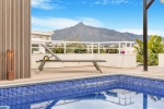 Luxury Penthouse Duplex Beachside Puerto Banus Spain (6)