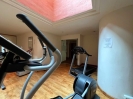 Beachside Penthouse Duplex Investment Estepona Spain (13)