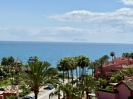 Beachside Penthouse Duplex Investment Estepona Spain (49)