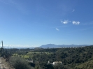 Building Plot EL Rosario Marbella Spain (7)