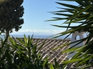 Building Plot EL Rosario Marbella Spain (5)