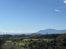 Building Plot EL Rosario Marbella Spain (8)