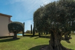 Luxury Mansion Marbella Golden Mile Spain (12) (Grande)