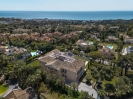 Luxury Mansion Marbella Golden Mile Spain (14) (Grande)