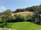 Charming Finca in Casares Spain (12)