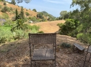 Charming Finca in Casares Spain (16)