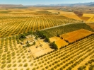 6. Aerial photo