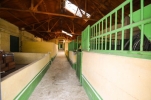 Stables