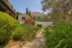 garden.