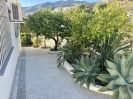 6 jardin