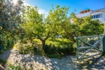 orchard