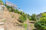 fruit trees orchard