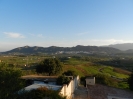 Panoramic 2