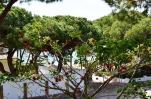 Sea View from Master Bedroom Terrace