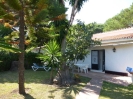 villa 5
