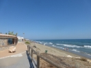 beach at 50 mtrs