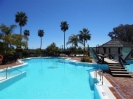 communal pool