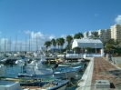 estepona marina