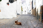 Casares-Village-Pueblo-Streets-1