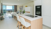 kitchen living ok