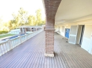 terrace (1)