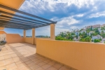 Terrace2
