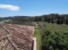 View (2)