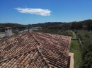 View (3)