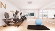 gimnasio