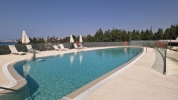 Communal Pool