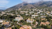 aereal view