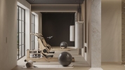gym (2)