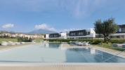 pool (1)