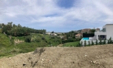 plot (1)