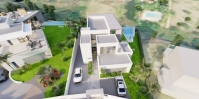 project (2)