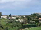 view (1)